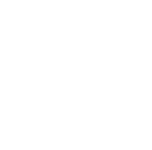 Work Out Warrior